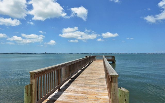 dock area with a water view