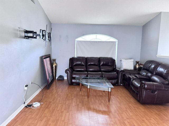 living room featuring hardwood / wood-style flooring