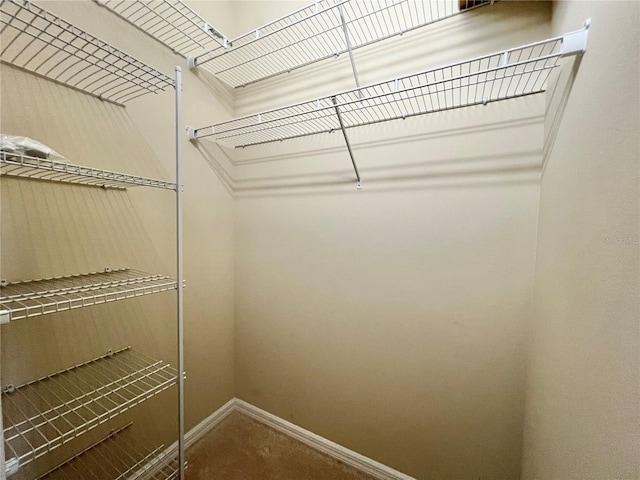 spacious closet with carpet