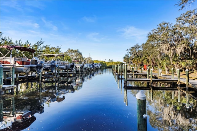 dock area with a water view