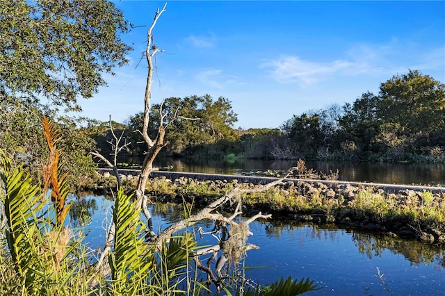 property view of water