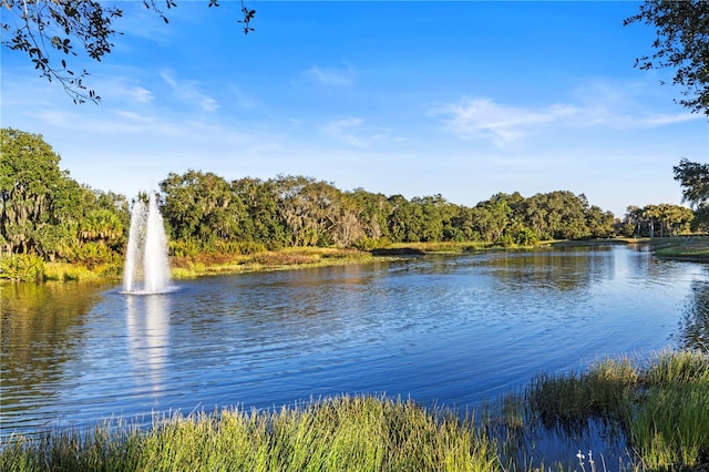 property view of water