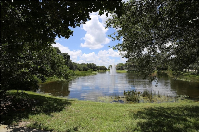 view of water feature