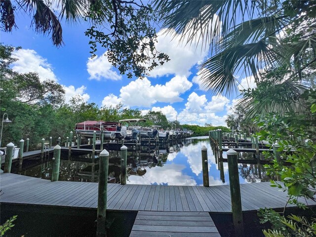 dock area with a water view