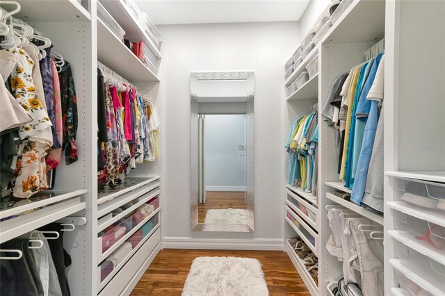 spacious closet featuring hardwood / wood-style flooring