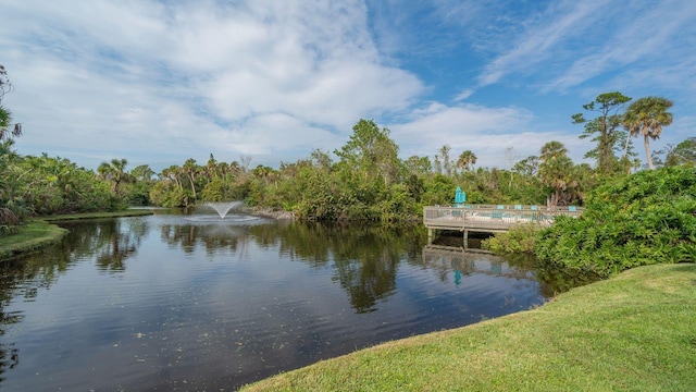 view of water feature