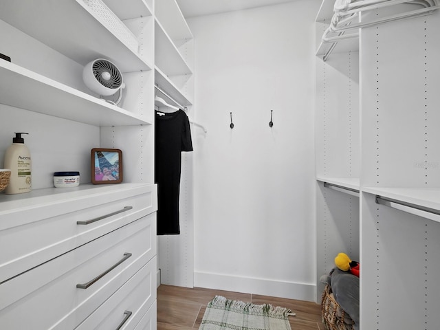 walk in closet with hardwood / wood-style flooring