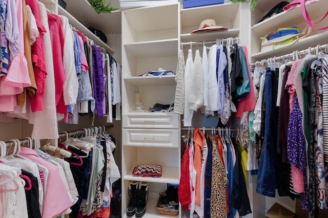 view of spacious closet