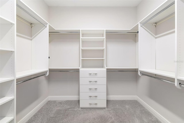 spacious closet featuring light carpet