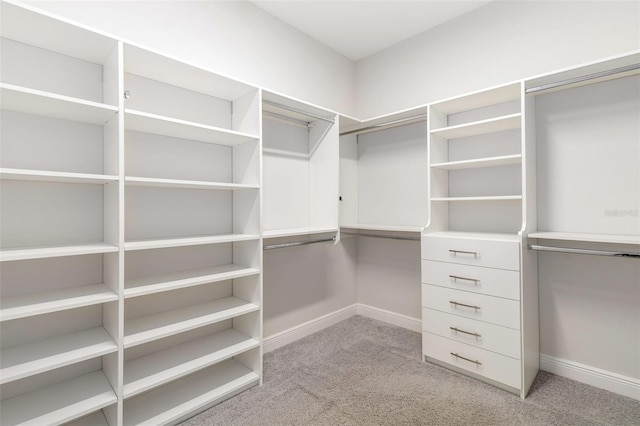 spacious closet with light carpet