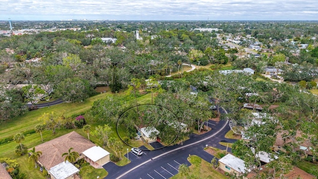 bird's eye view