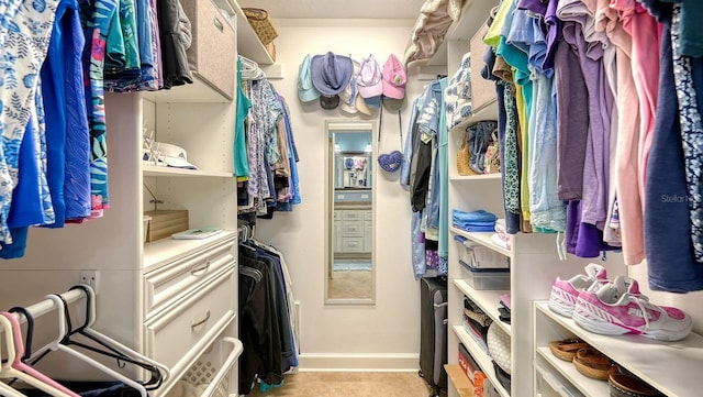 spacious closet with light carpet