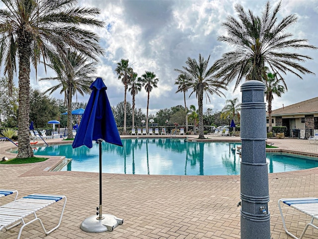 view of pool featuring a patio area