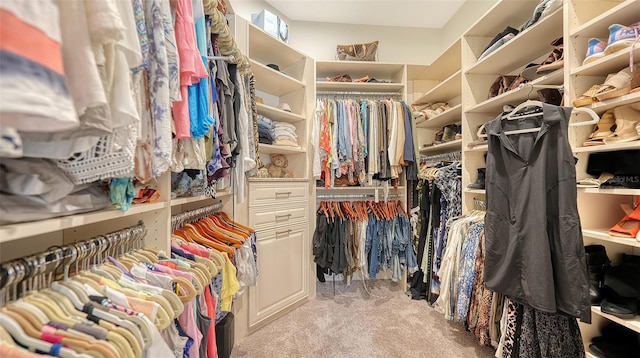 walk in closet with light carpet