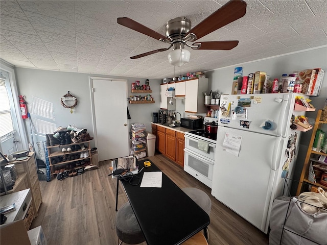 kitchen with ceiling fan, sink, dark wood-type flooring, and white appliances