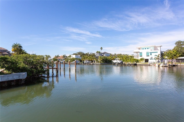 water view featuring a dock