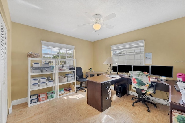 office featuring ceiling fan and light hardwood / wood-style floors