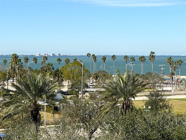 view of water feature