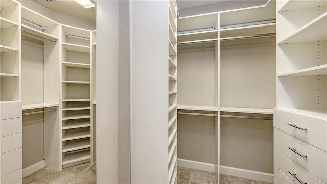 spacious closet with light carpet