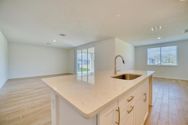 kitchen with sink, a kitchen island with sink, and light hardwood / wood-style flooring