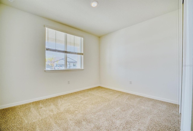 spare room with carpet flooring