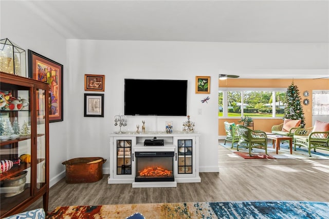 living room featuring a fireplace and hardwood / wood-style flooring