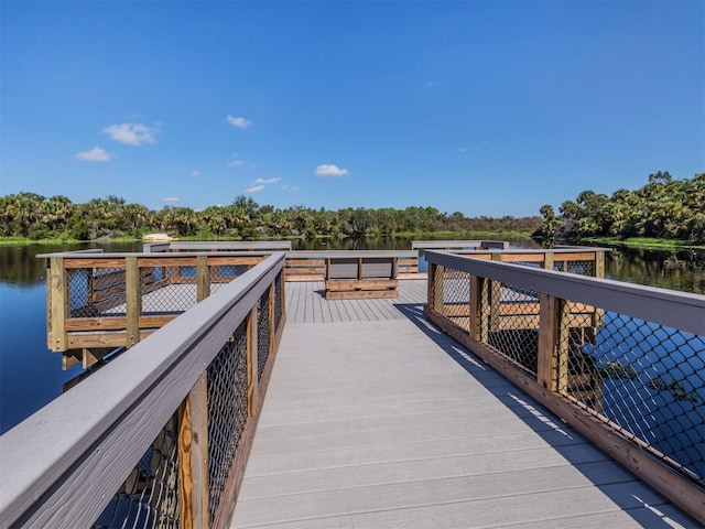 dock area with a water view