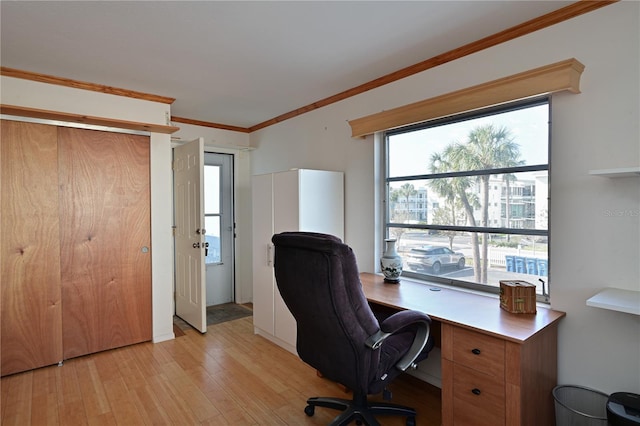 office featuring ornamental molding and light wood-type flooring