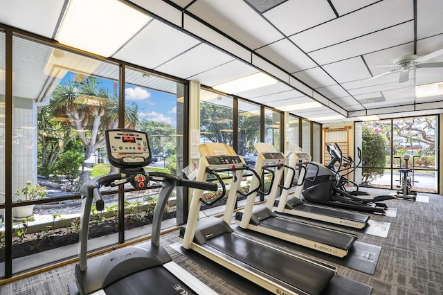 workout area featuring ceiling fan, carpet, and a healthy amount of sunlight