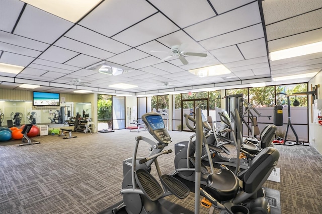 workout area featuring carpet flooring, plenty of natural light, and expansive windows