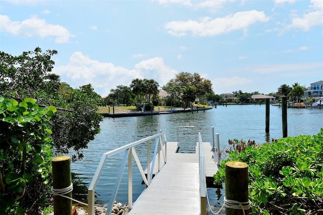 dock area with a water view