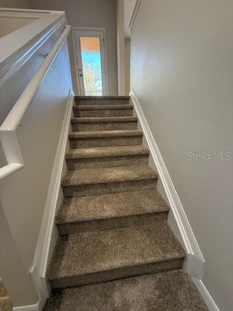 stairs with carpet flooring