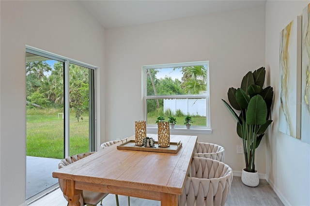 dining room featuring light wood-type flooring, a wealth of natural light, and lofted ceiling