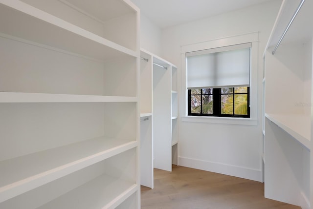 spacious closet with light hardwood / wood-style floors