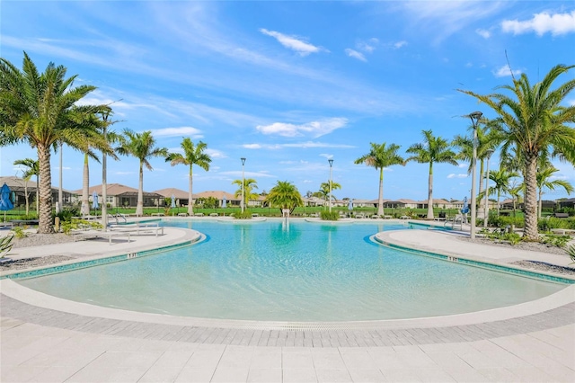 view of swimming pool