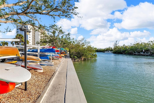 dock area with a water view