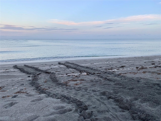 view of water feature featuring a beach view