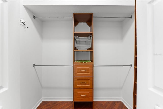 spacious closet featuring dark hardwood / wood-style floors