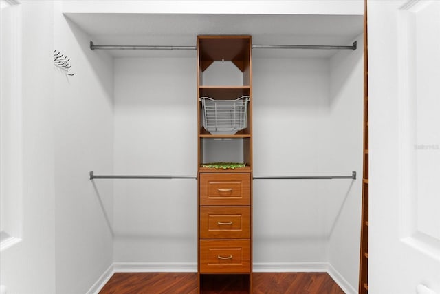 108 Corte Del Rosa, Venice, FL 34285 - walk in closet featuring dark wood finished floors