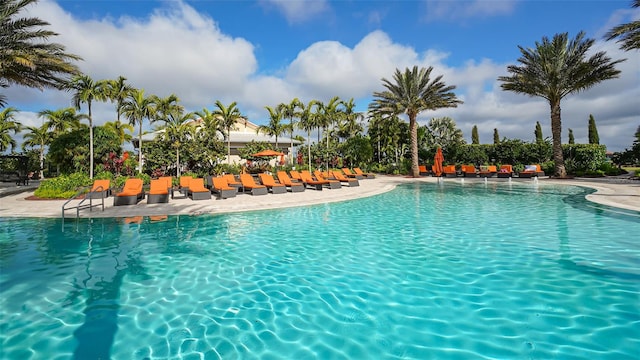 view of swimming pool featuring a patio