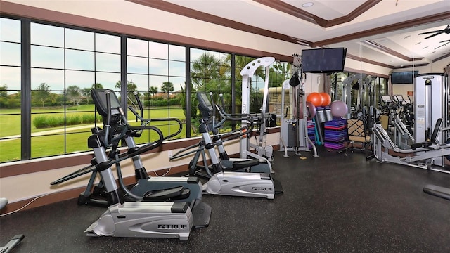 gym with a tray ceiling, plenty of natural light, and crown molding