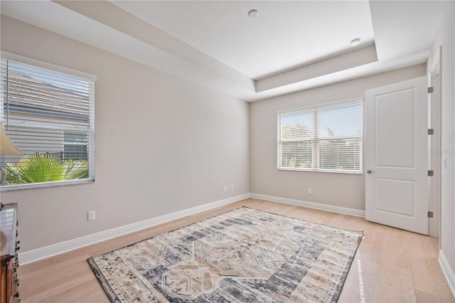 bedroom featuring light hardwood / wood-style floors and a tray ceiling