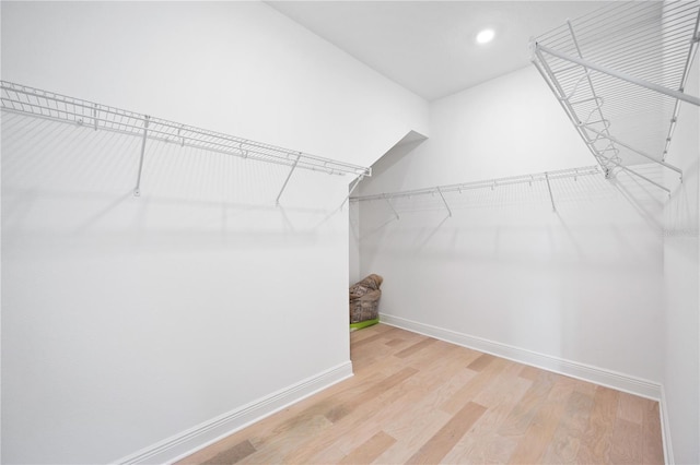 spacious closet featuring light hardwood / wood-style flooring