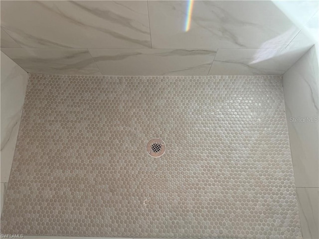 interior details with a shower