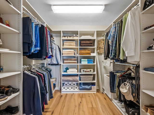 spacious closet featuring wood-type flooring