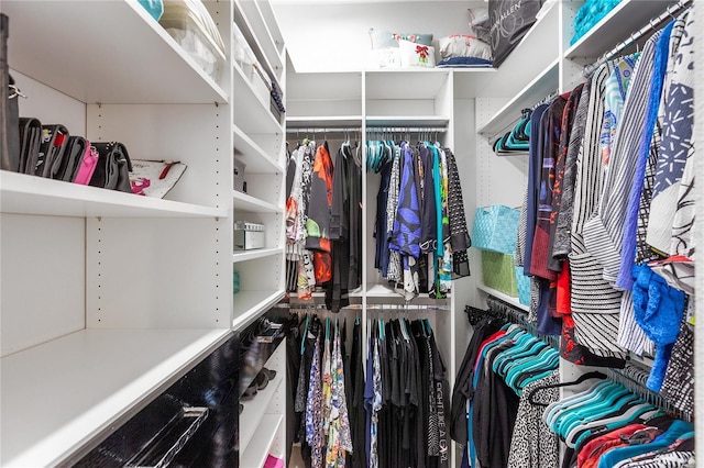 view of spacious closet