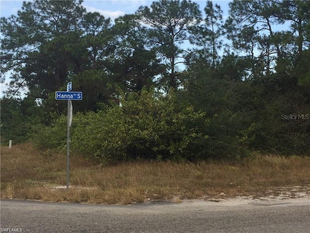 2800 8th St SW, Lehigh Acres FL, 33976 land for sale