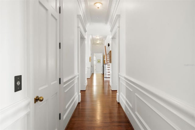 hallway with dark hardwood / wood-style flooring and ornamental molding