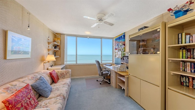 carpeted office with ceiling fan