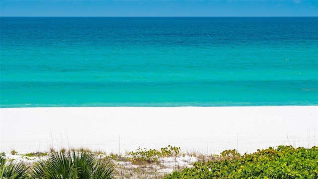 property view of water featuring a beach view